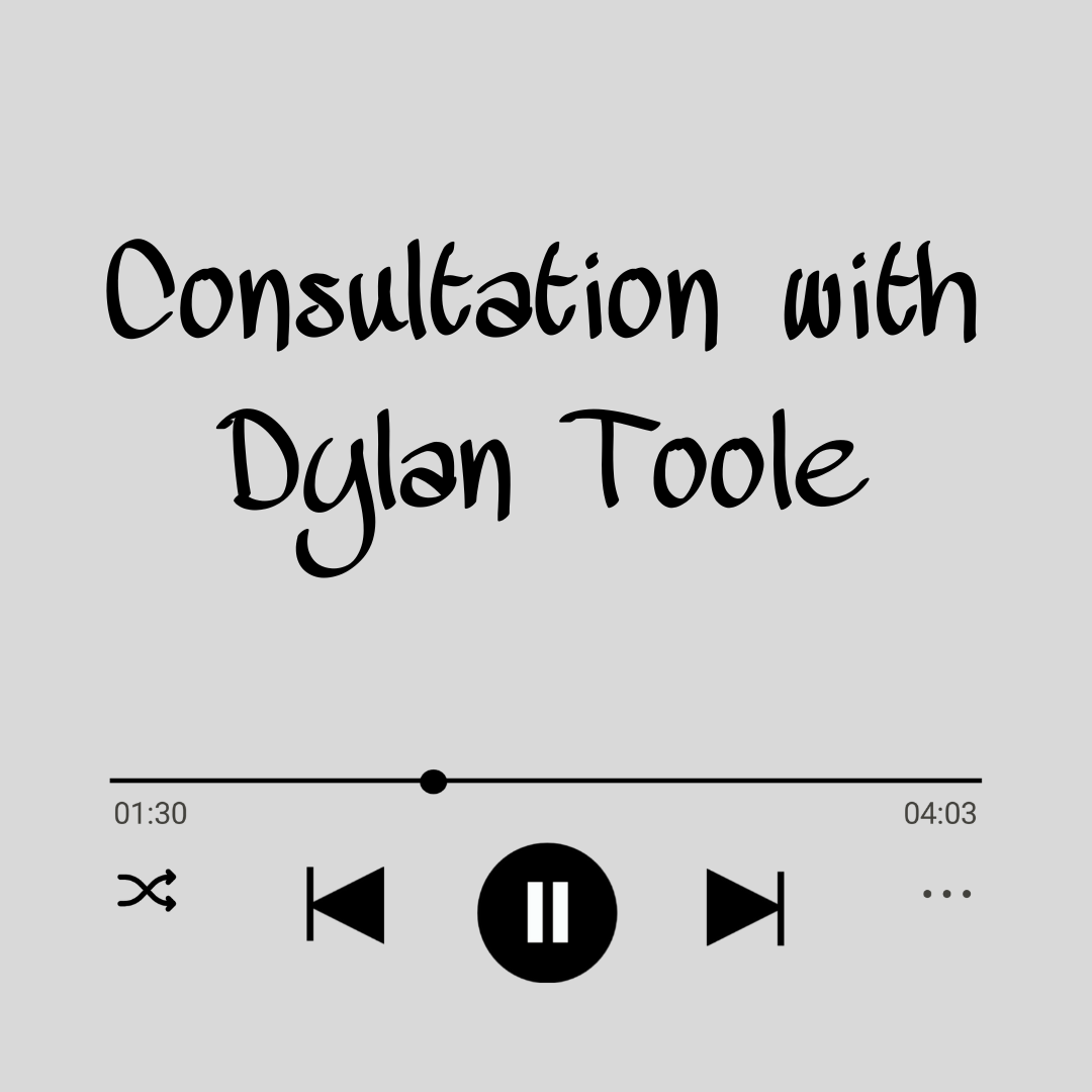 Consultation with Dylan Toole