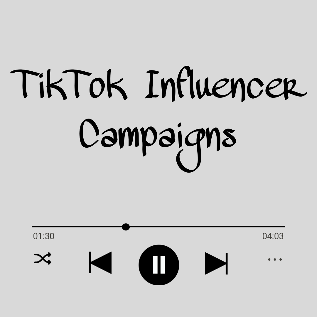 TikTok Influencer Campaigns