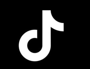 TikTok Influencer Campaigns