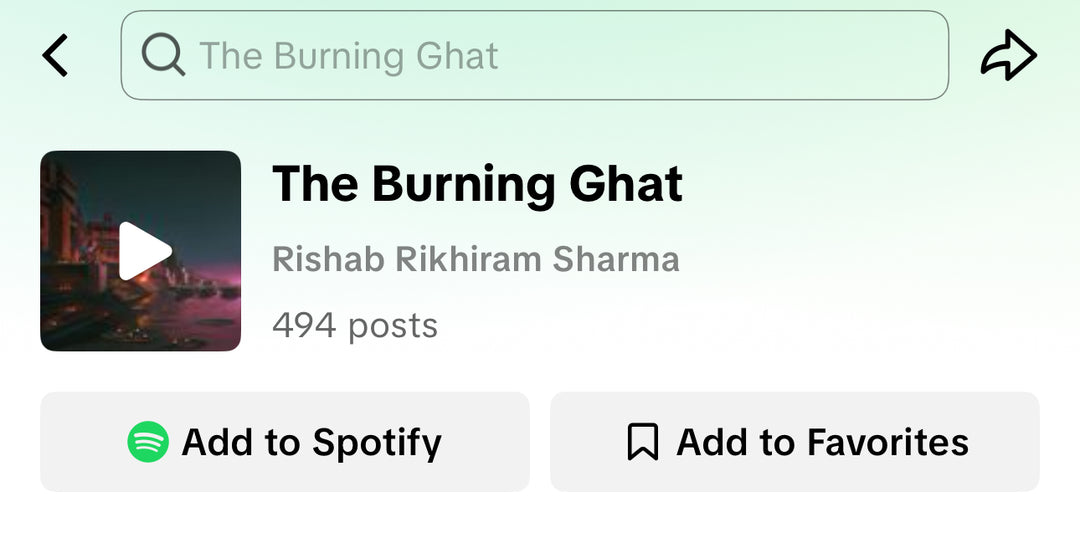TikTok Influencer Campaign