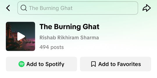 TikTok Influencer Campaign