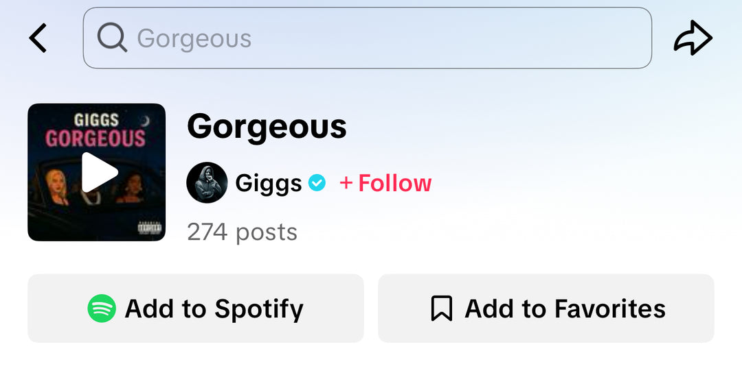 TikTok Influencer Campaign