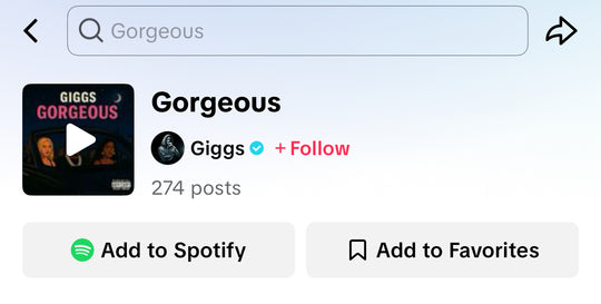 TikTok Influencer Campaign